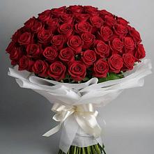 Букет 101 Красная роза Блэк Мэджик в Темиргоевской