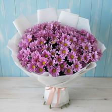 Букет цветов из:  Хризантемы в Темиргоевской