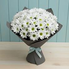 Букет цветов из:  Хризантемы в Темиргоевской