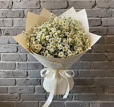 Букет цветов из:  Ромашки в Темиргоевской