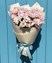 Букет цветов из:  Хризантемы #REPLACE_PRED# Темиргоевской