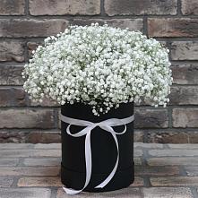 Цветочная композиция из Гипсофила в шляпной коробке в Темиргоевской