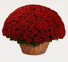 Премиум букет из: Розы в Темиргоевской